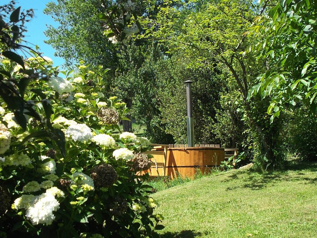 Apart Hotel Puchaley Lafquen Пангипули Екстериор снимка
