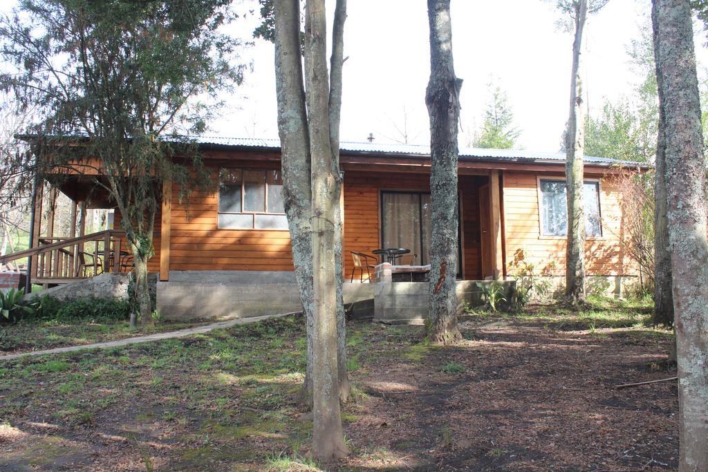 Apart Hotel Puchaley Lafquen Пангипули Екстериор снимка